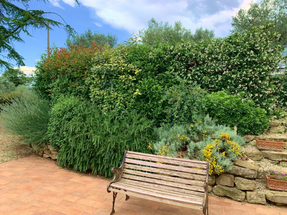 Agriturismo La Collina Toscana Pieve a Maiano Luaran gambar