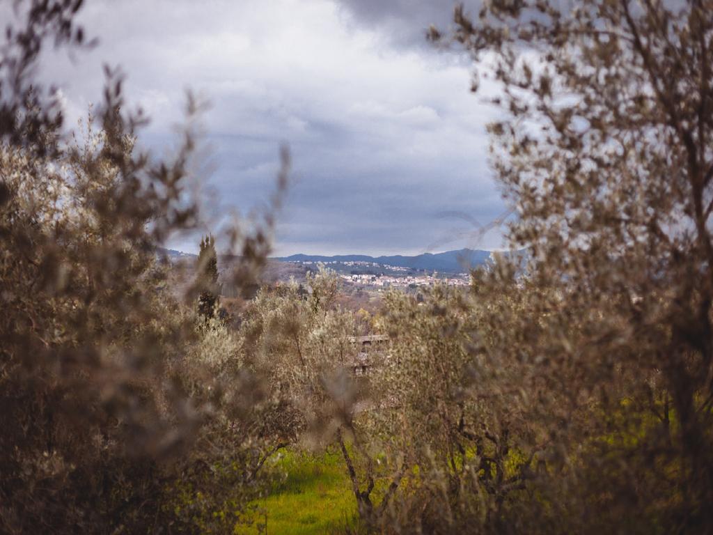Agriturismo La Collina Toscana Pieve a Maiano Luaran gambar